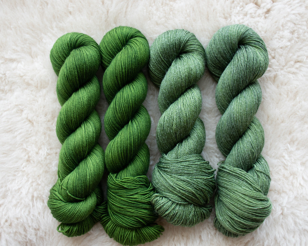 Consider the Coconut, Consider it's Trees - Moana