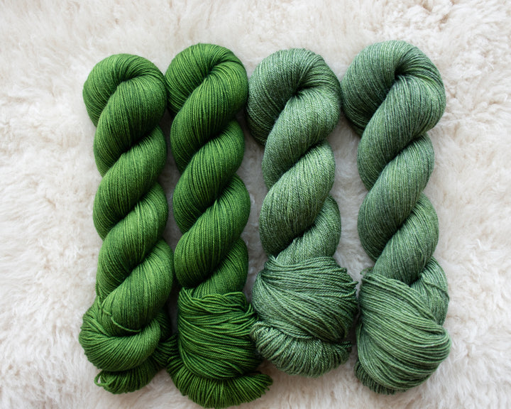 Consider the Coconut, Consider it's Trees - Moana