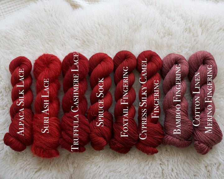 Still Not a Princess - Moana