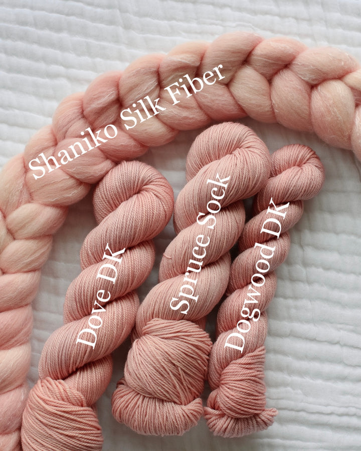 COLUMBA- Traveling the Universe