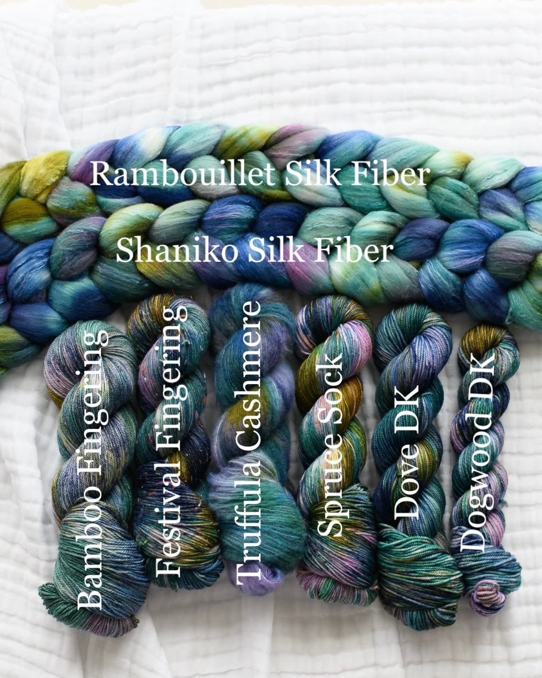 CYGNUS CONSTELLATION - Traveling the Universe