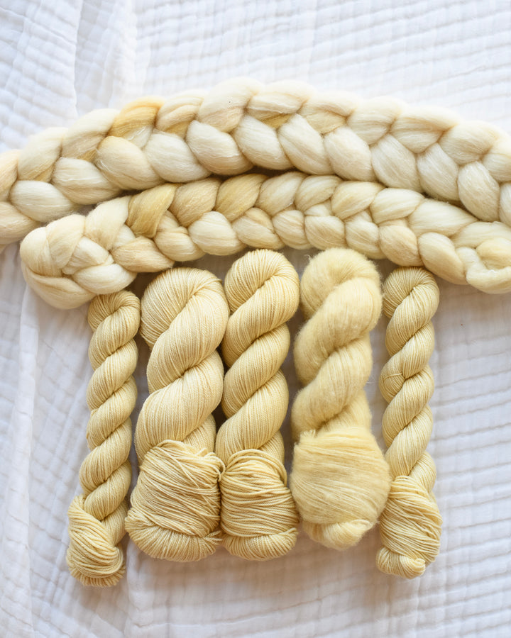 STARLIGHT - Traveling the Universe