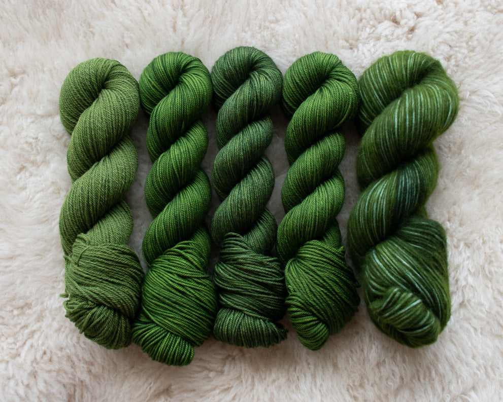 Consider the Coconut, Consider it's Trees - Moana