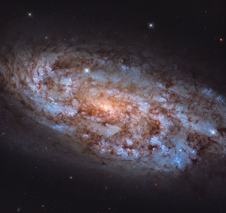 THE STELLAR FORGE - Traveling the Universe